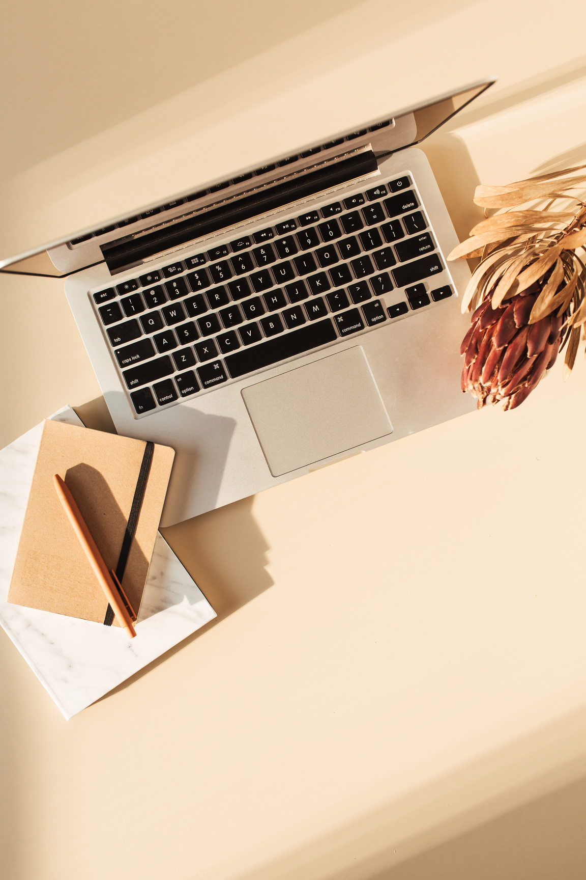 Laptop, Notebooks and Dried Plant on Light Brown Background